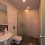 Paradise 4*